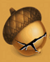 Acorn Cracked