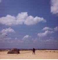 Click the Picture for the Full Size.