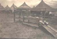 Click on the Picture for Full Size.